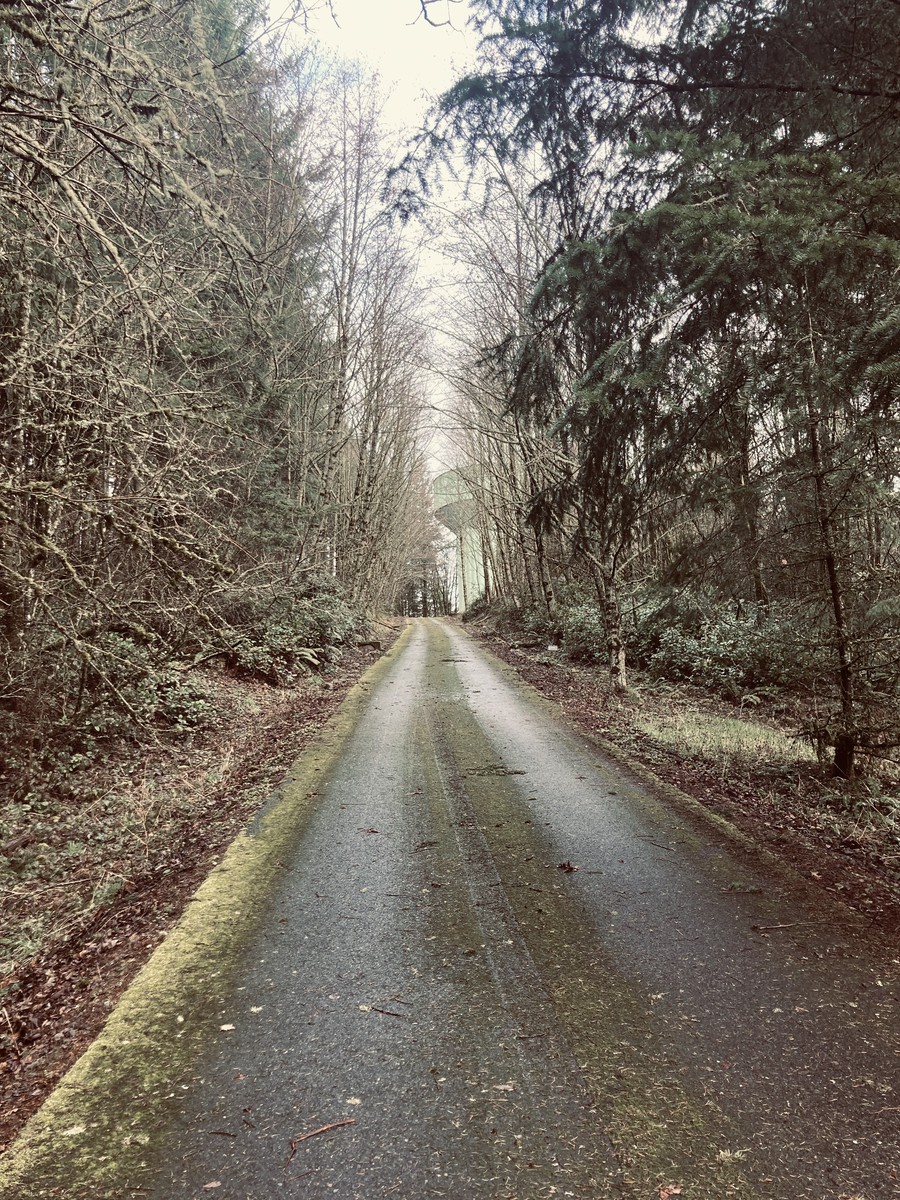 Water Bureau access road leading to the water tower off Wind Ridge Road