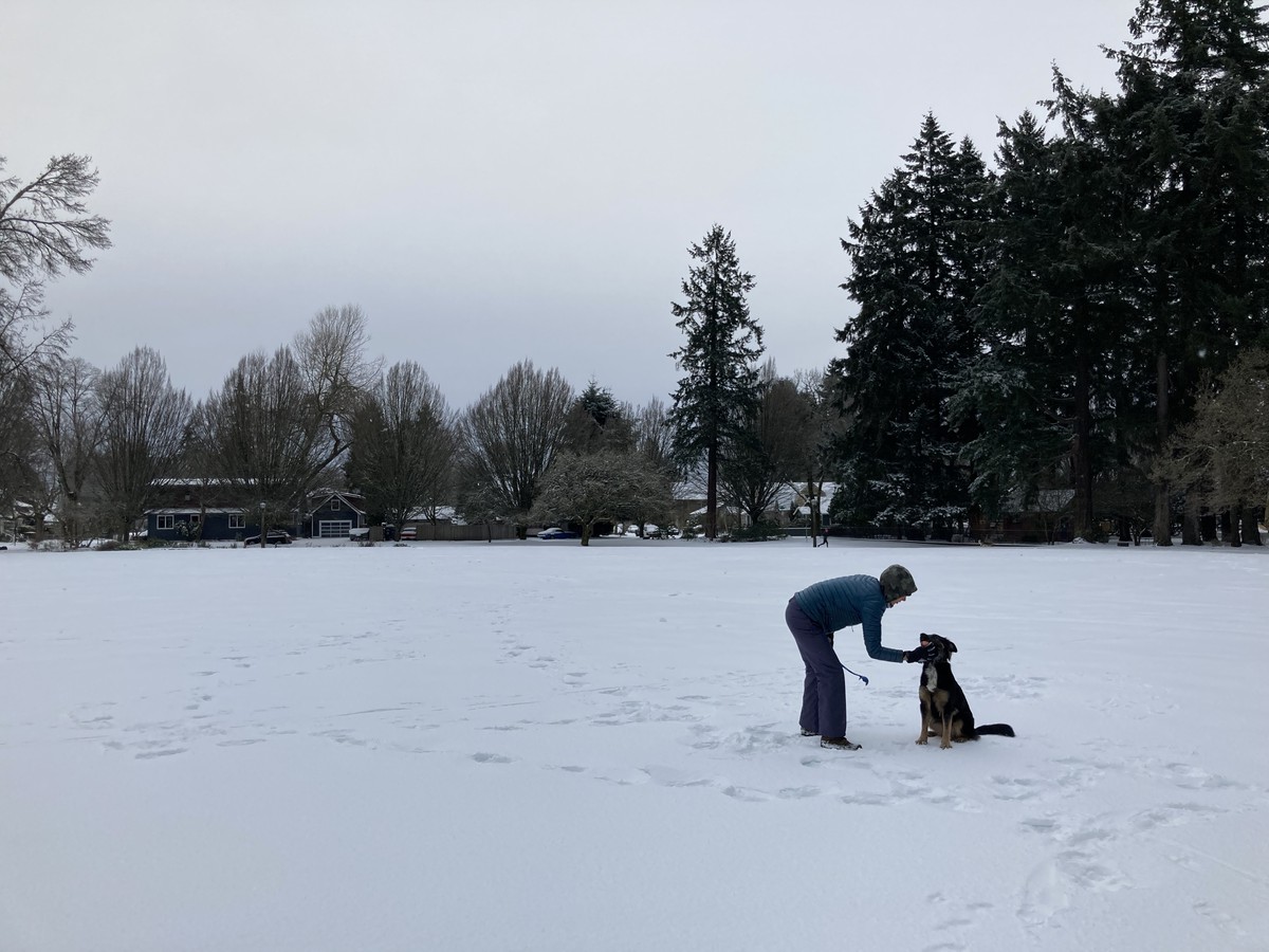 Jenny and Kuma at the park