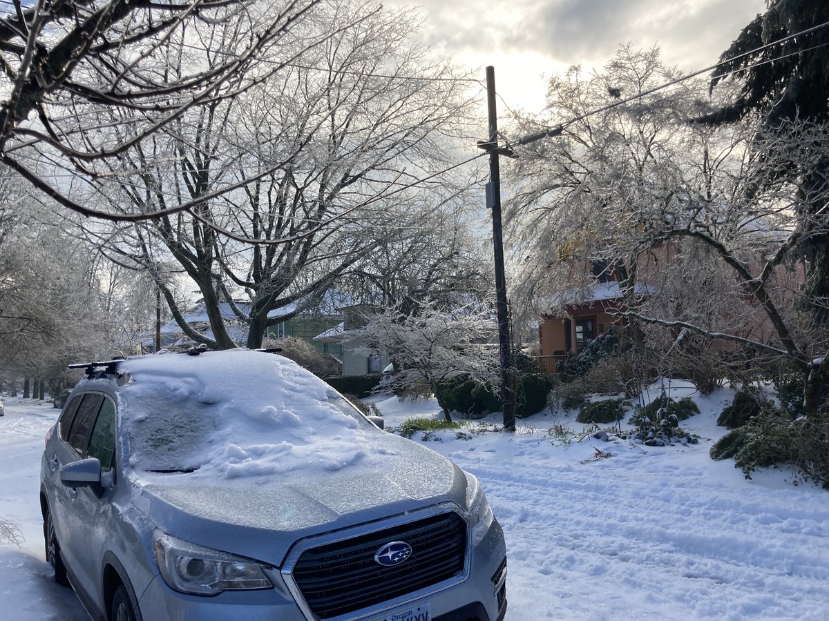 Monday morning; half-cloudy sun shining through ice in trees
