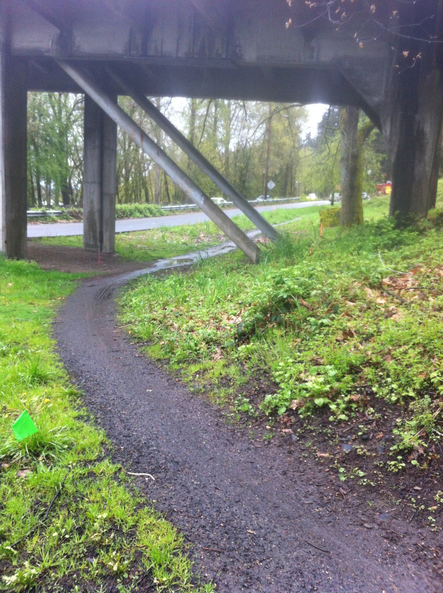 Goat path under Sellwood Bridge