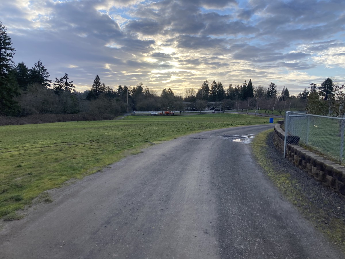 A long last look goodbye