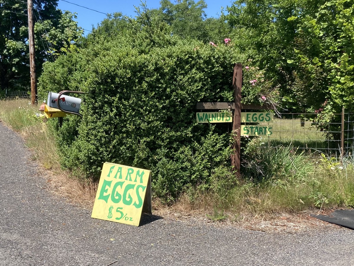 Handpainted signs on a rural road next to a mailbox. Signs read: “Farm eggs $5/dz” and “Walnuts/Eggs/Starts”