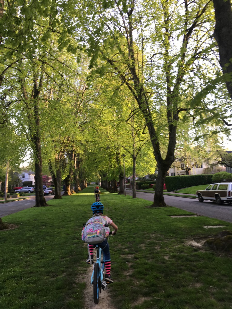 Iris and Orion riding up a goat path in a wooded median