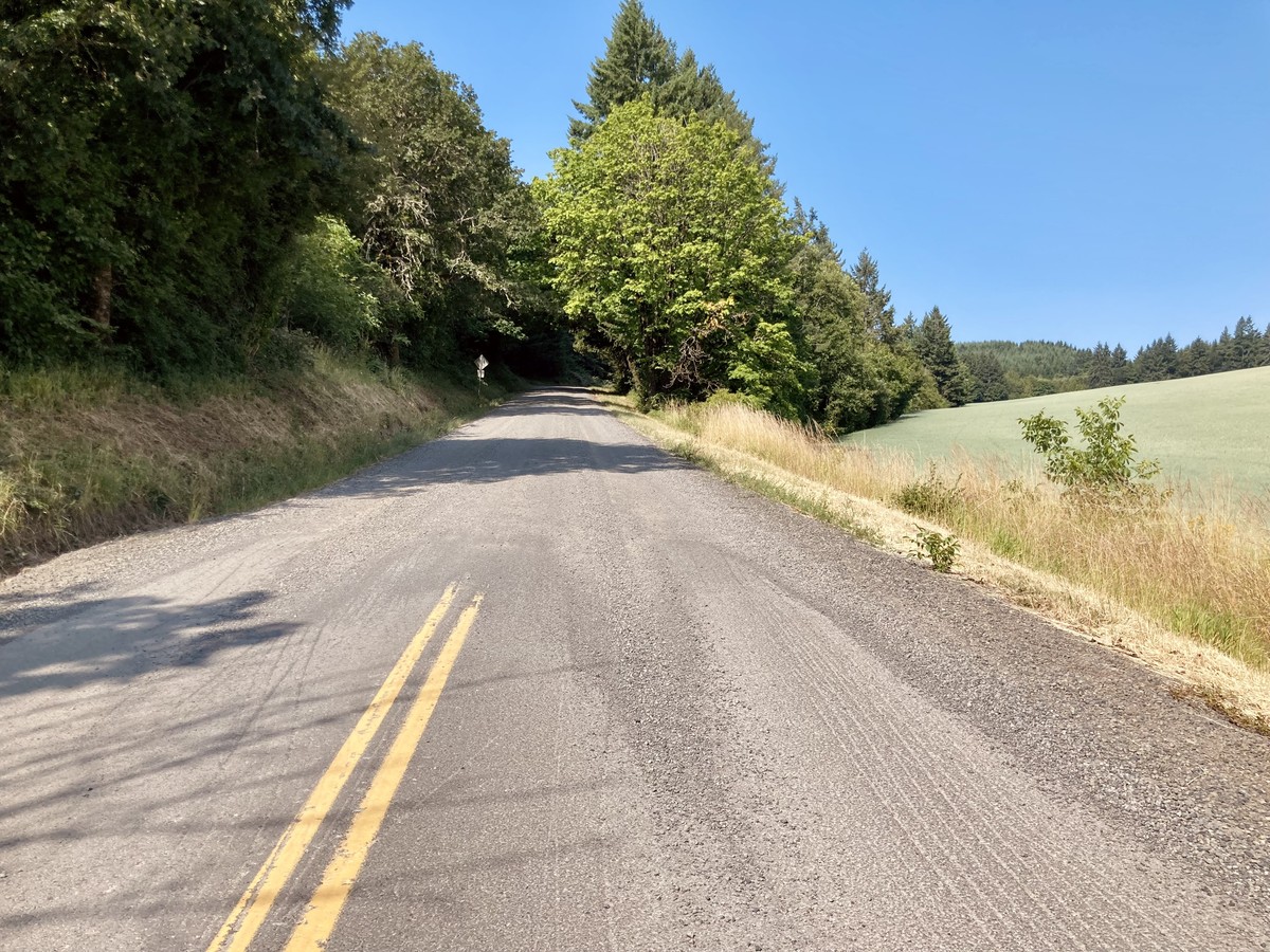 Where the pavement ends on Dixon Mill Road