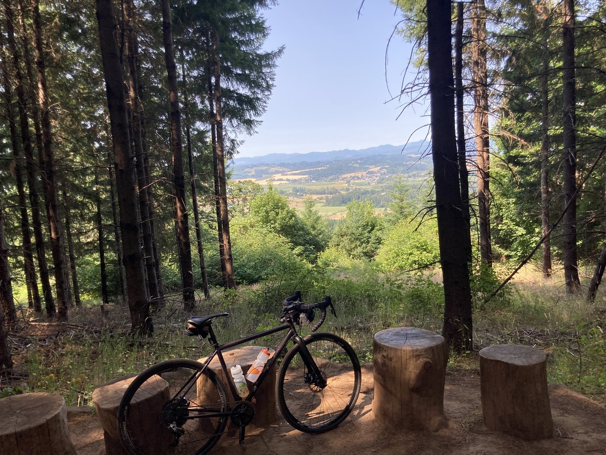 View toward the southwest from Chehalem Ridge toward Wapato Lakes. Taken through a small clearing in a dense forest; a bicycle leans against some sawn logs in the foreground