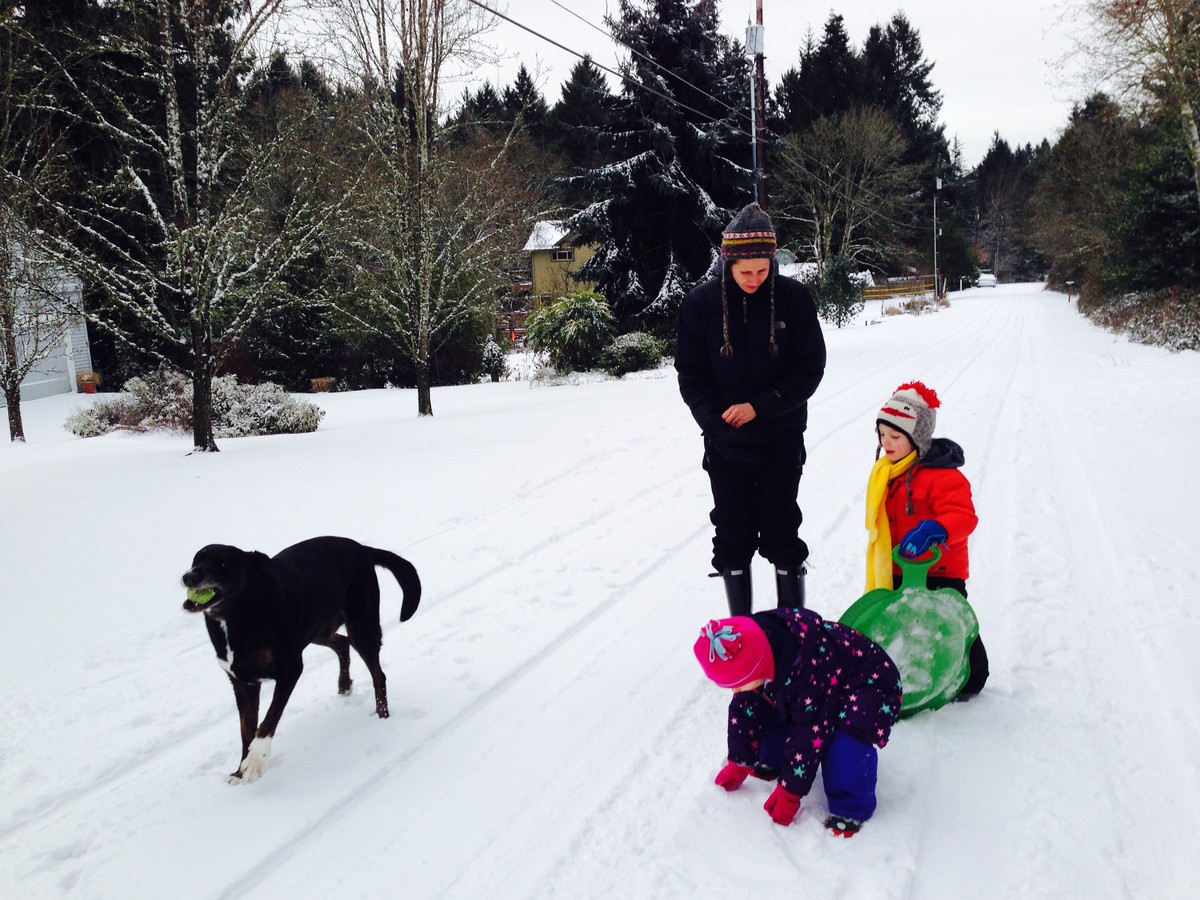 A woman, large black dog, and two young children in colorful snow clothes, walking down a snowy street toward the camera