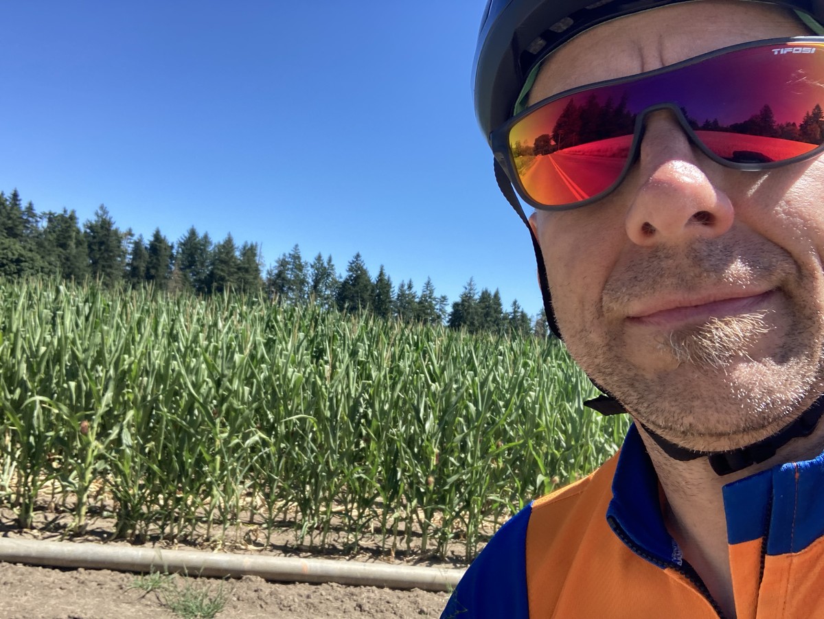 Selfie riding past a cornfield on Webfoot Road