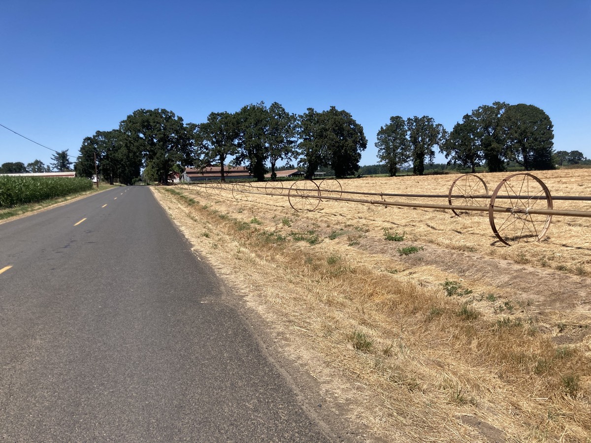 Center pivots parked on the edge of a field on Webfoot Road