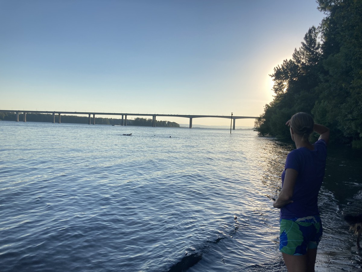 Landscape view westward on the north bank of the Columbia River at sunset. The 205 bridge is on the horizon. On the shore to the right a woman looks out onto the water, where a few hundred feet distant a group of people are swimming