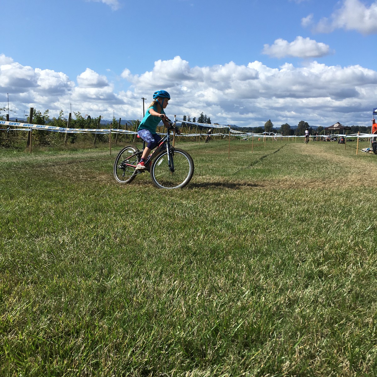 Iris on the infield, 2019