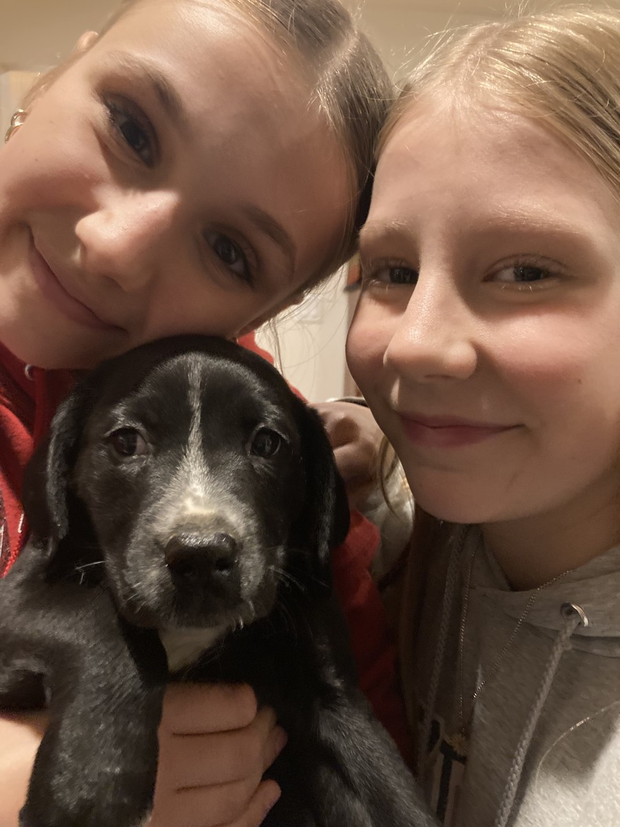 Closeup, two young women holding a small black puppy