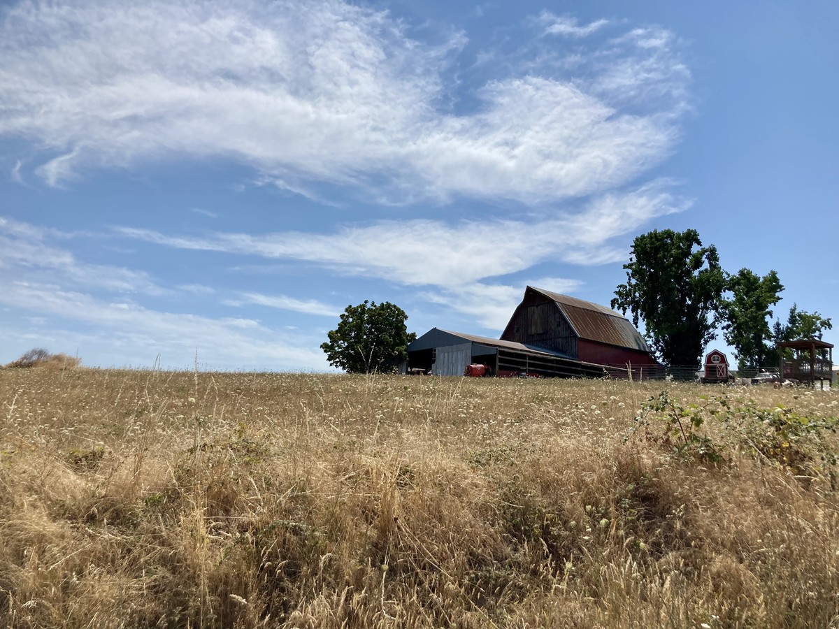 A farm in Yamhill county
