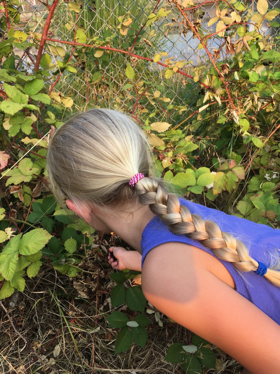 Ada & blackberries, 2018