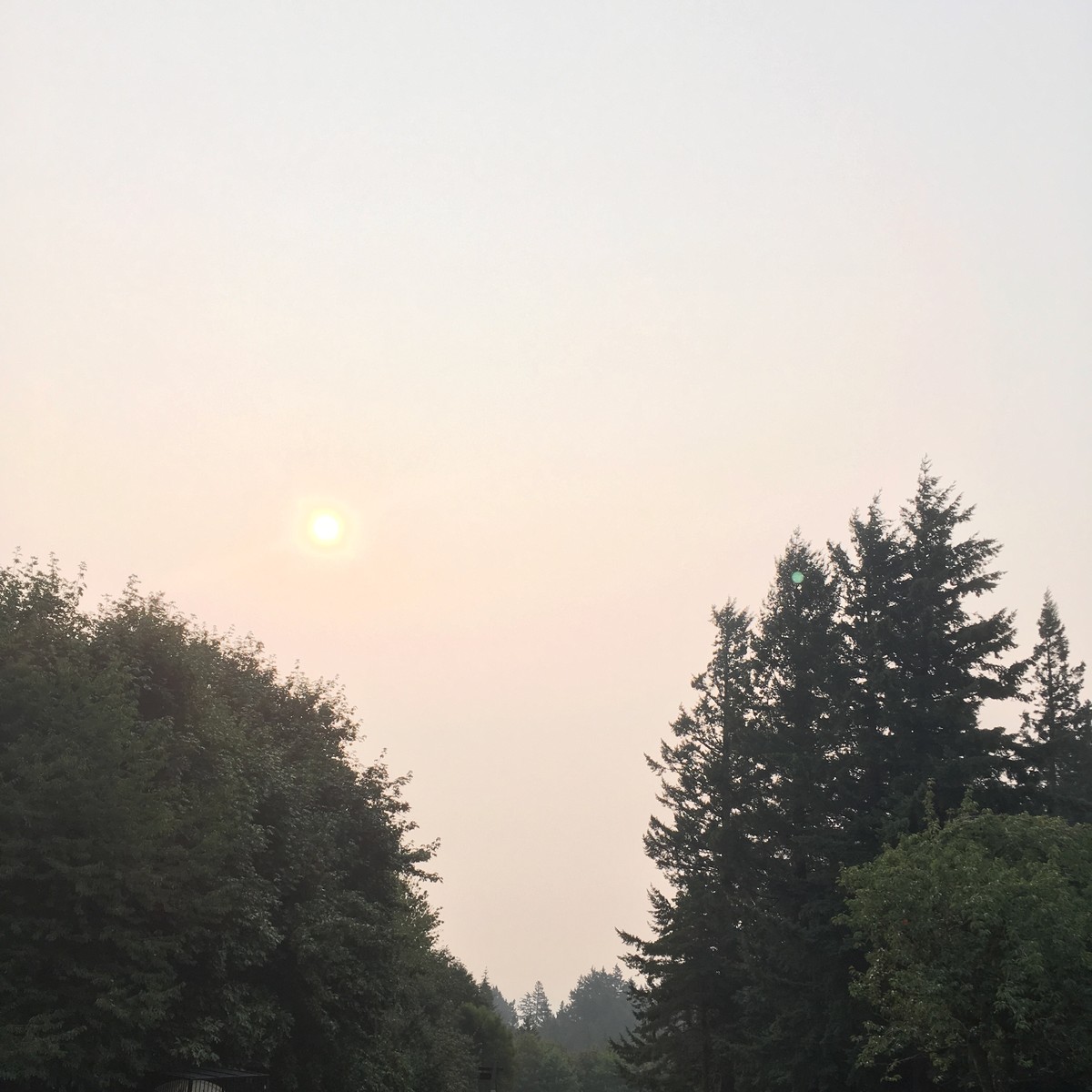 View of the eastern sky at sunrise; the sky is is cloudless, yellow; sun is orange