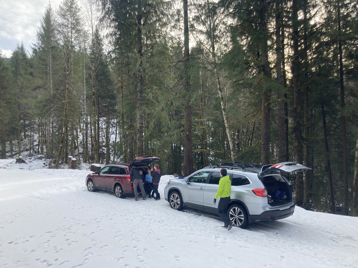 Two Subarus parked on a snowy road in the forest