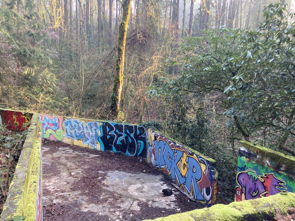 Foundation of the Norris House on Terwilliger Drive