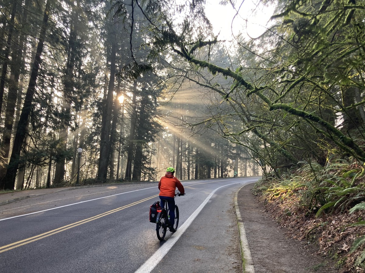 A cyclist (not me) riding up Terwilliger drive in the patchy fog, sunlight shining through the trees behind