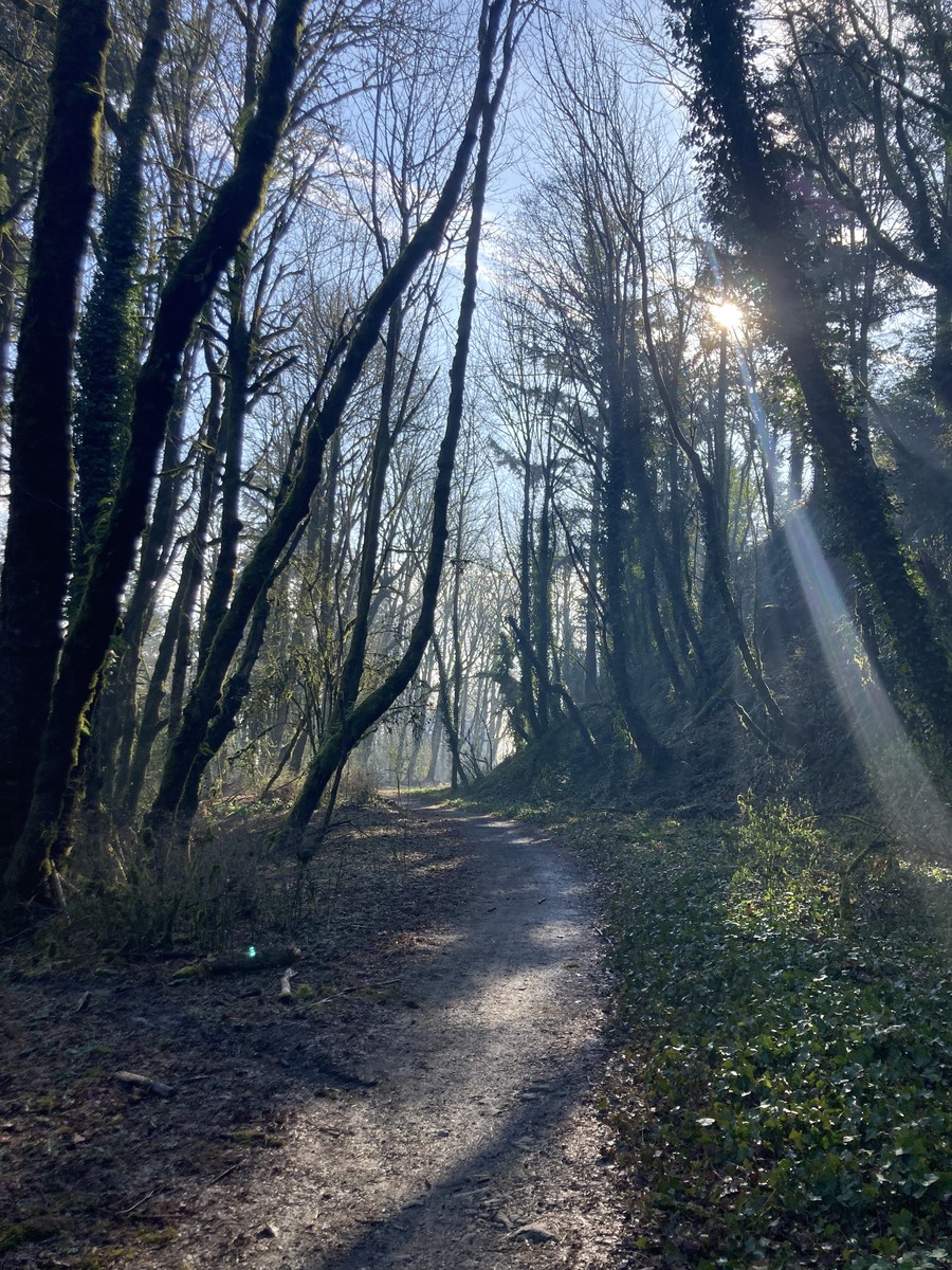 Northwood Drive Trail aka “little Arenberg”