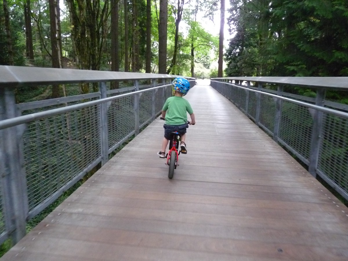Preschool age child riding a bicycle on a bridge over a forested canyon, low perspective, taken from behind