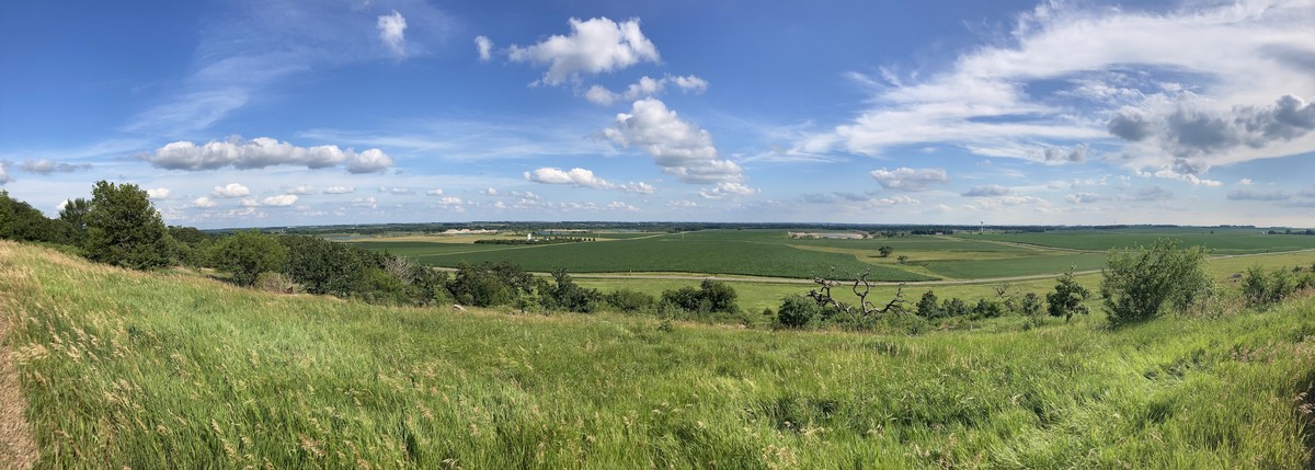 Panorama of a flat, verdant Minnesota farmscape under a mostly-clear summer sky, taken from a hill about 200' above the prairie. The town of Luvurne, perhaps a mile distant, spreads across most of the width of the scene