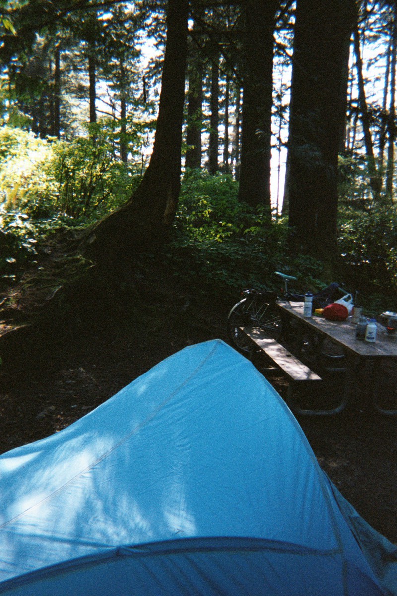 Campsite in a deep forest. Foreground: small blue tent. About 10' distant a bicycle leans against a picnic table, on the table are bike bottles and a camp stove