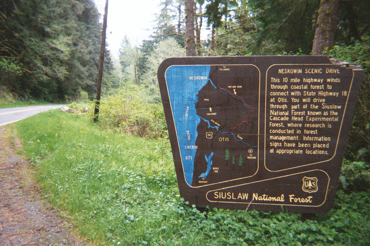 Sign with map on a road in a forest. Map shows a road leading inland from Neskowin to Otis, bypassing highway 101. Text on the sign reads: "NESKOWIN SCENIC DRIVE. This 10 mile highway winds through coastal forest to connect with State Highway 18 at Otis. You will drive through part of the Siuslaw National Forest known as the Cascade Head Experimental Forest, where research is conducted in forest management. Information signs have been placed at appropriate locations. SUISLAW National Forest”