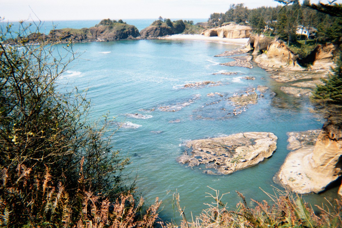 Cove sheltered by rocks and seamounts. On flat rocks in the shallows rest a few dozen seals. Weather clear; sea is a cheerful green