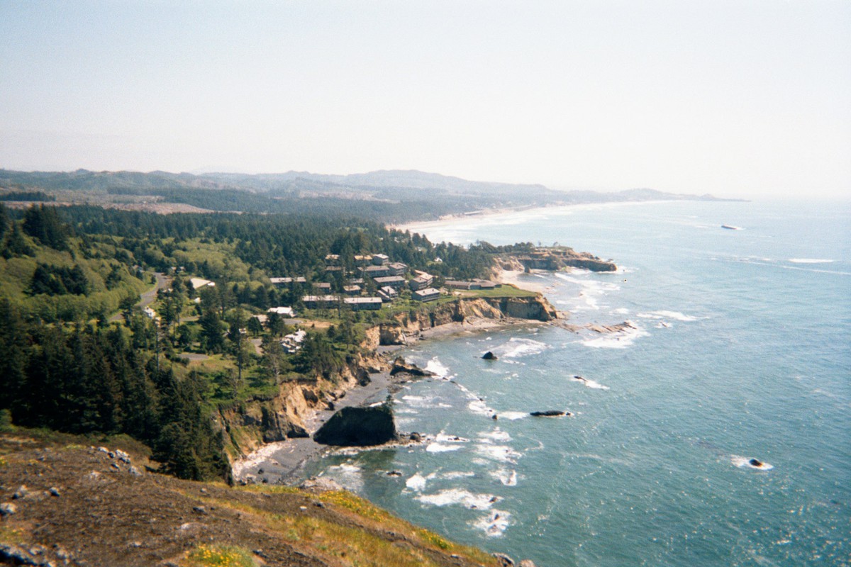 Coastal andscape from a high vantage point, perhaps 300' above the sea, facing south. Forested headlands, rocky beaches, and housing developments march south toward the horizon. The sea is green with many white breakers on the rocks and mounts along the shore