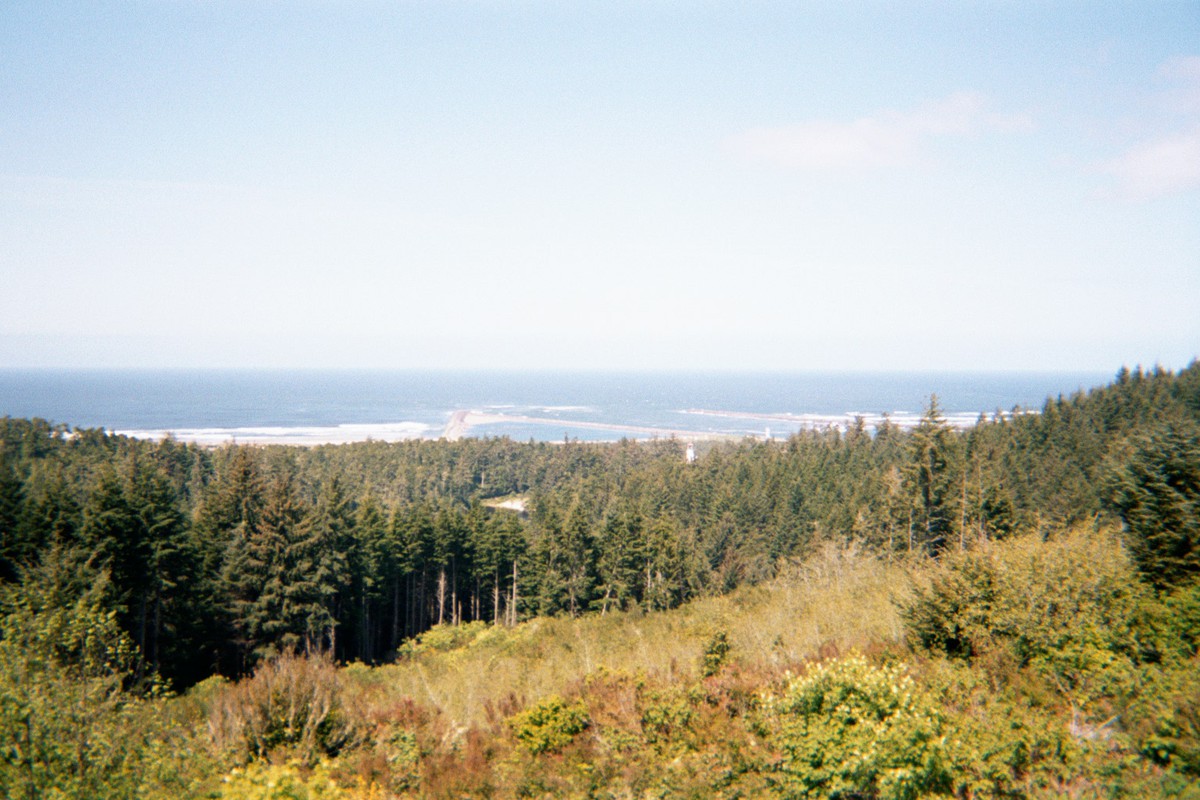 Long vista from a low coastal mountain toward the ocean. Two long jetties project into the ocean. The hills are forested but partially logged; a large meadow thick with second growth in the foreground