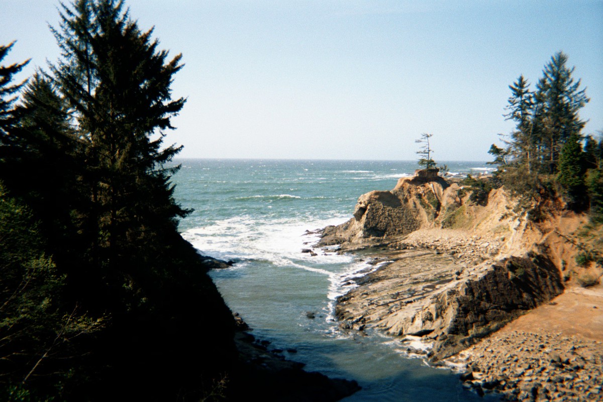 Small rocky cove on the Pacific coast, with fir trees on either side