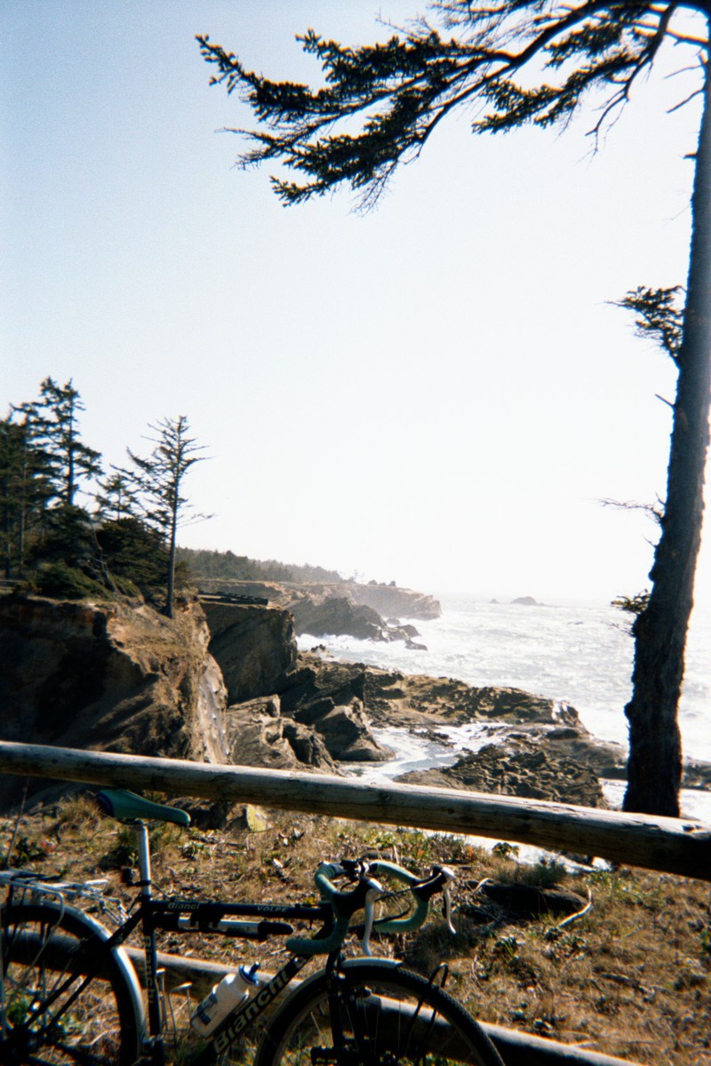 Bianchi touring bike, unloaded, leaning against a wooden fence in front of a windswept, rocky shoreline