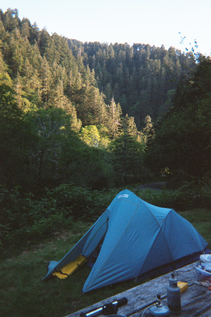 Steep wooded coastal valley at sunrise. Sun is striking tall firs on the far hillside. In the foreground, in shadow: a small blue tent and picnic table. A camping stove & a few other items are on the table.