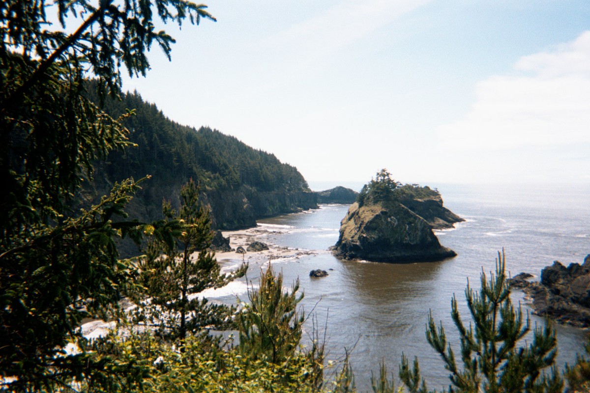 Land/seascape of rugged forested coastline with tall sea stacks immediately offshore, weather sunny & windy