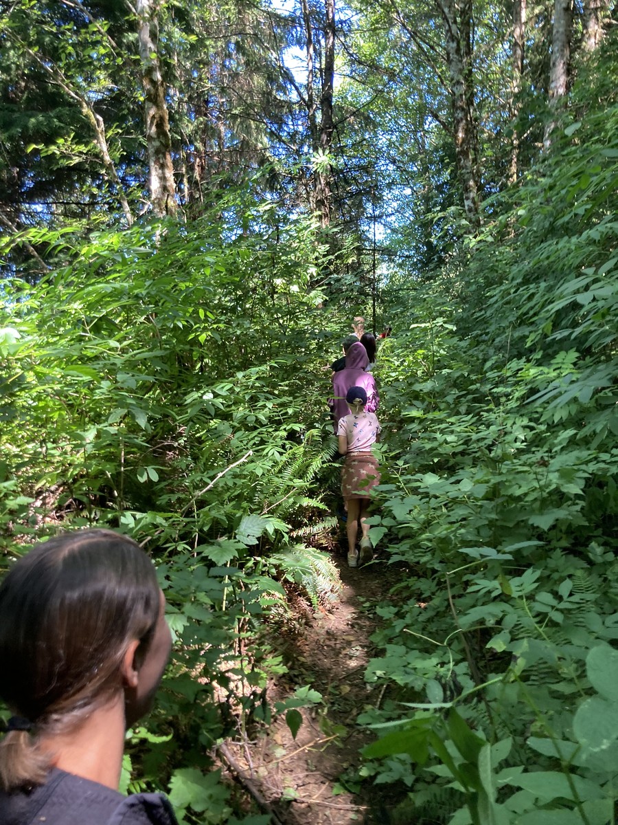 Four people on a narrow forest path choked with summer undergrowth