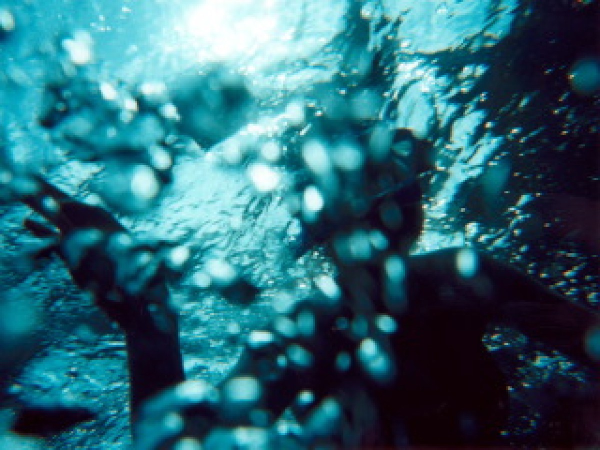 Shot underwater toward the surface with a snorkeler just overhead. Bubbles.