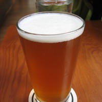 Closeup of a full pint of beer at a brewpub