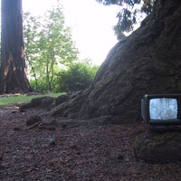 Portable TV on Mt. Tabor