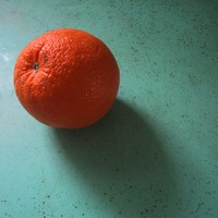 Closeup of an orange