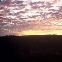 Scan of a Kodachrome slide of the Australian desert, taken probably 1969. A clump of rocks or boulders are silhouetted on the horizon against a yellow sky full of small clouds