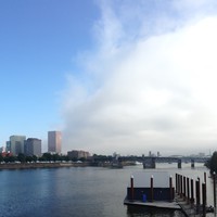 View up the Willamette River toward downtown Portland on a summer morning. To the left/west the sky is clear and sunny; to the right/east the sky is cloudy and foggy. This weather is neatly divided by the river itself