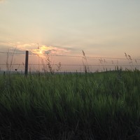 Low perspective of tall prairie grass and a barbed-wire fence, silhouetted against a hazy humid Nebraska sunset