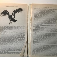 Closeup of a paperback copy of ALWAYS COMING HOME, split open to page 210, with a line drawing of a condor on one page