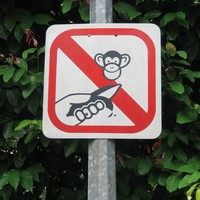 Ideographic street sign in Singapore of a banana being held out to a monkey, with a red slash through it, meaning “do not feed the monkeys”. 🚫🍌🐵