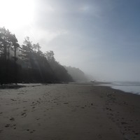 View south along a foggy Oregon beach in the late morning. A narrow strip of sandy beach extends to the horizon, with steep forested headlands marching into the distance. The sky overhead and above the ocean is sunny but fog clings to the forest inland.