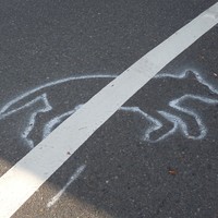 Chalk outline of a dog’s body on pavement, intersected with a fog line. Gives the appearance that the fog line has run over the dog