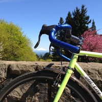 Low perspective shot past a green “All City” bicycle from Council Crest Park toward Mt. Hood, which is visible. Clear sky. A cherry tree in the middle distance is in bloom