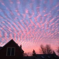 Striated clouds glowing with the sunrise