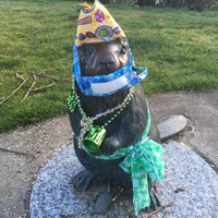 Outdoors, bronze statue of a beaver “dressed” with party hat, cloth face mask, St. Patricks Day party beads & green ribbon