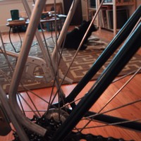 Indoor shot, taken through the spokes and rear triangle of a bicycle. About 10' away a dog rests placidly on a rug in front of shelf with LP records