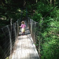 Preschooler on a rickety suspension bridge over a foresty gully, summer, walking away from the camera